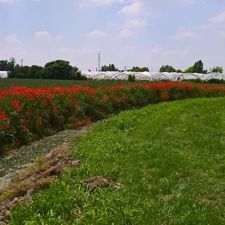 Farm stay Cipolli E Podo Corte Carlini