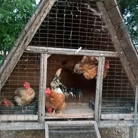 Farm stay Cipolli E Podo Corte Carlini *